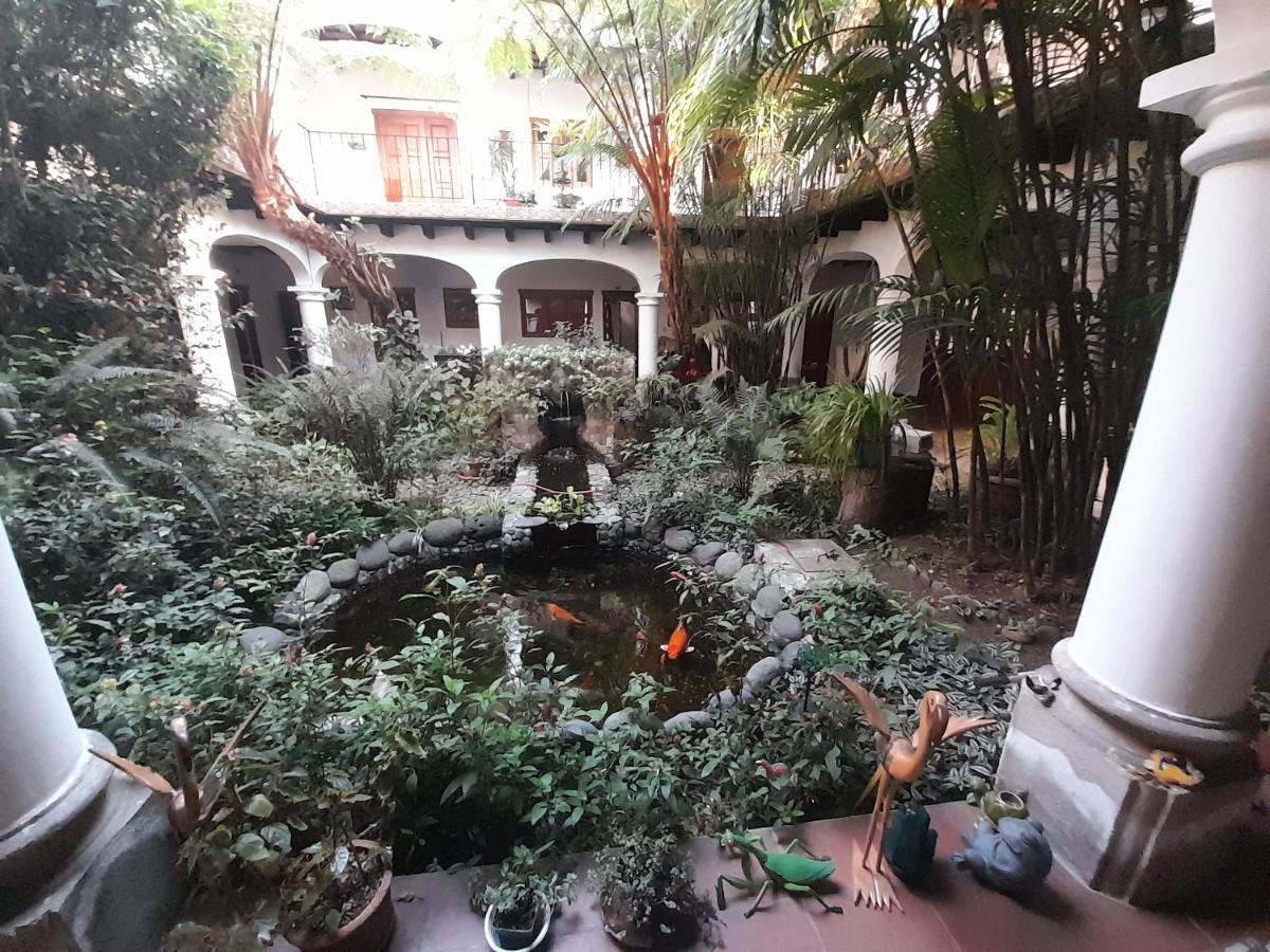 Hotel Y Jardines Casa Buho Antigua Exteriör bild