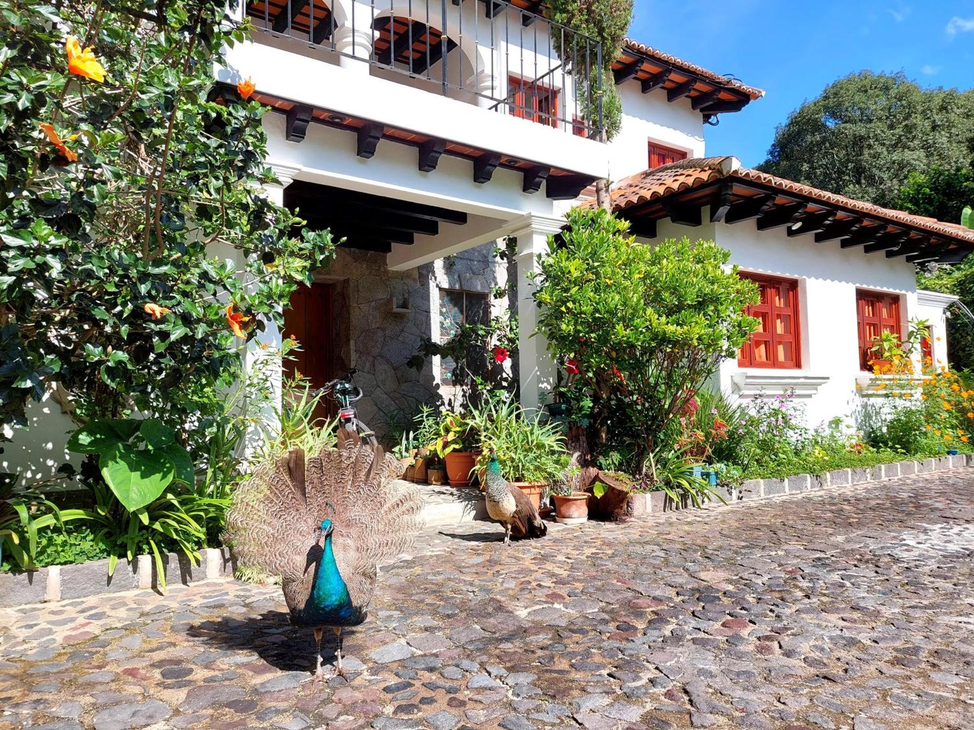 Hotel Y Jardines Casa Buho Antigua Exteriör bild
