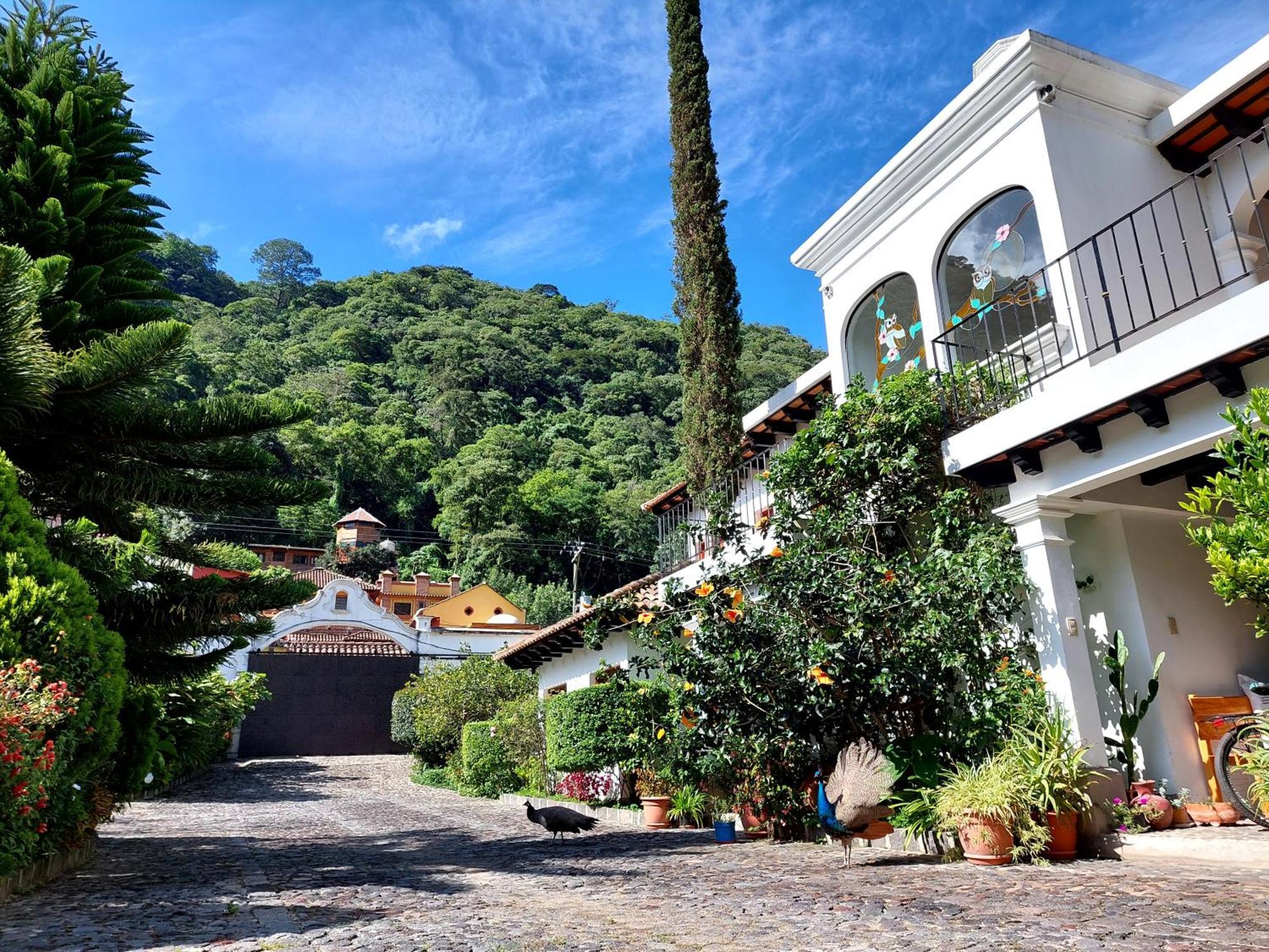 Hotel Y Jardines Casa Buho Antigua Exteriör bild